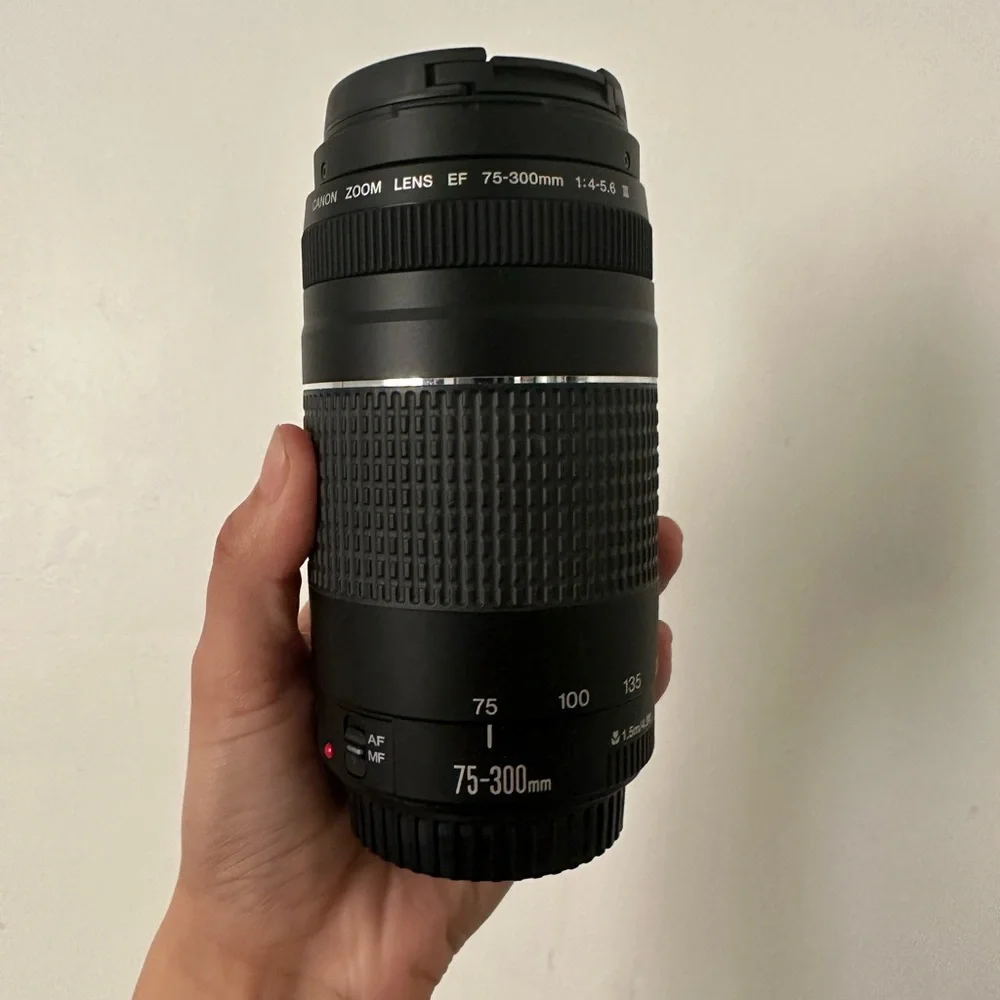 Canon EOS Rebel T7 DSLR Camera